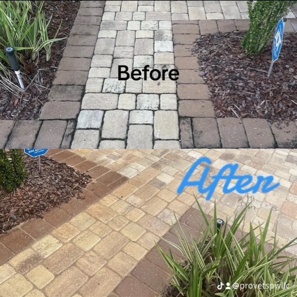 Before and after cleaning a stained paver walkway back to its original color by Pro Vets Pressure Washing